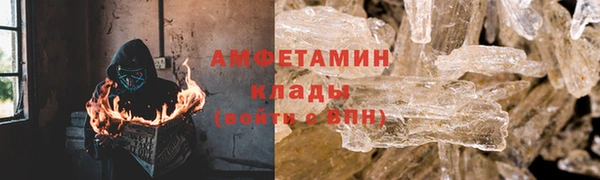 трава Пересвет