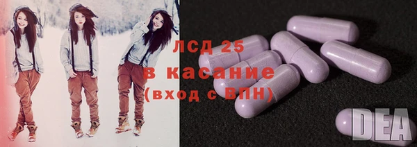 молекула духа Грязовец