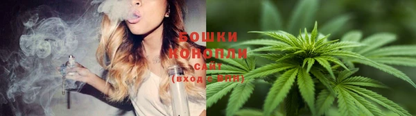 молекула духа Грязовец