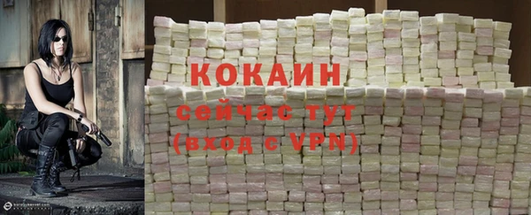трава Пересвет