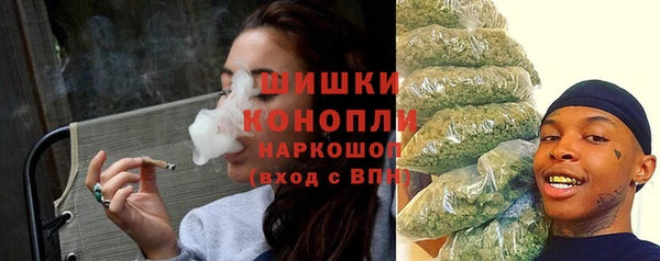 трава Пересвет